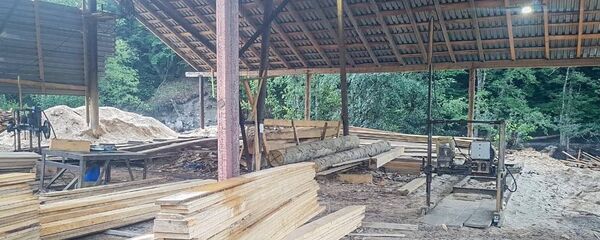 Незарегистрированный лесопильный цех - Sputnik Грузия