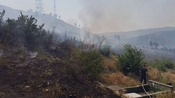 Пожар вблизи Мцхета - Sputnik Грузия