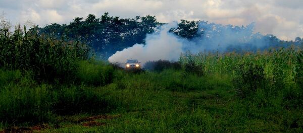 ბრძოლა აზიურ ფაროსანასთან - Sputnik საქართველო