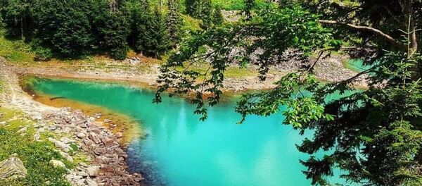 გოდერძი გოდერძი - Sputnik საქართველო