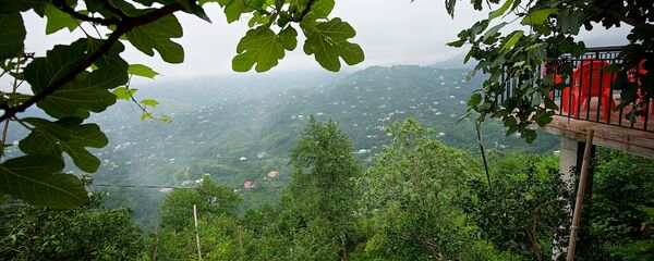 Высокогорная Аджария - сельские дома - Sputnik Грузия