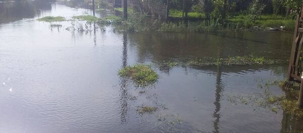 ფოთში ძლიერმა წვიმამ პრობლემები შექმნა ფოთში ძლიერმა წვიმამ პრობლემები შექმნა - Sputnik საქართველო