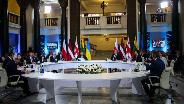 Круглый стол в Тбилиси с участием глав МИД Польши, Литвы, Латвии и вице-премьера Украины - Sputnik Грузия