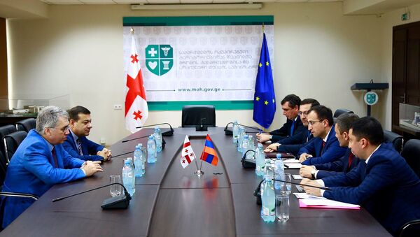 Встреча министров здравоохранения Грузии и Армении - Sputnik Грузия
