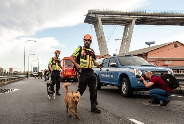 Сотрудники полиции со служебными собаками ищут выживших на месте обрушения автомобильного моста Моранди в Генуе - Sputnik Грузия