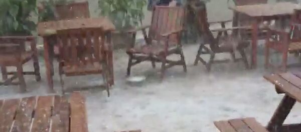 სეტყვა თელავში - Sputnik საქართველო