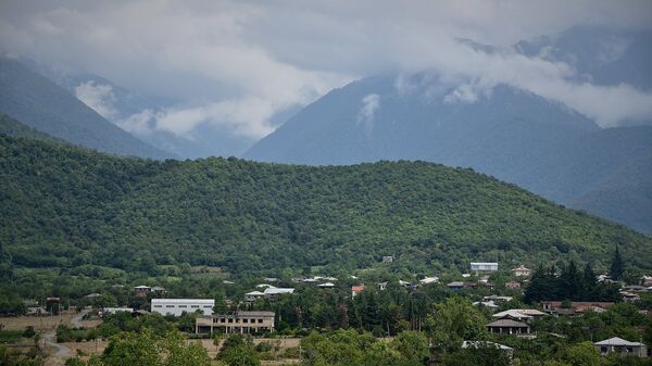 გურჯაანის მუნიციპალიტეტში ტყის ინვენტარიზაციის საველე სამუშაოები მიმდინარეობს