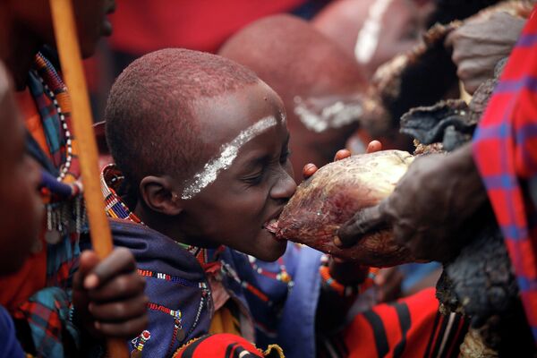 Мальчик кусает сердце быка во время церемонии инициации возле города Бисиль, Кения - Sputnik Грузия