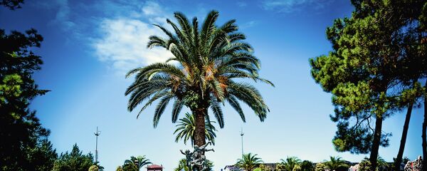 ბათუმი ბათუმი - Sputnik საქართველო