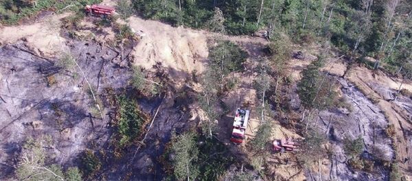 Последствия пожара в лесу у села Цедана близ города Хашури Последствия пожара в лесу у села Цедана близ города Хашури - Sputnik Грузия