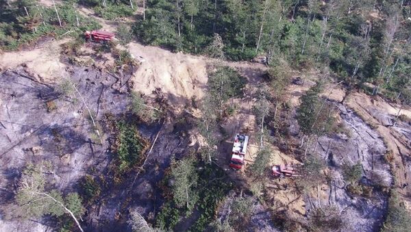 Последствия пожара в лесу у села Цедана близ города Хашури - Sputnik Грузия