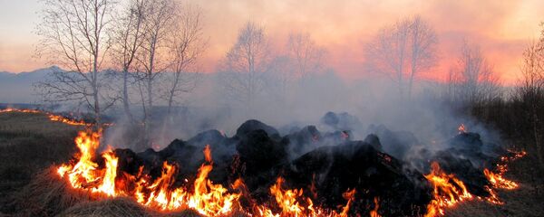 Пожар после сбора урожая Пожар после сбора урожая - Sputnik საქართველო