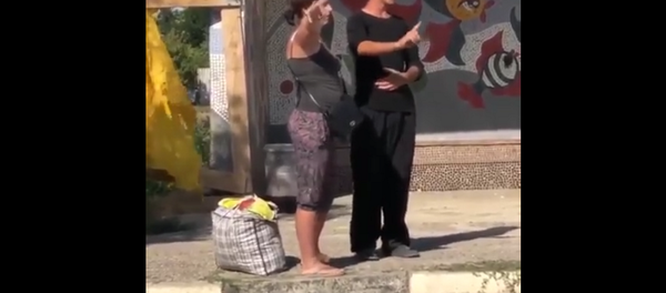 Когда надо ехать в деревню к теще копать картошку – угарное видео - Sputnik Грузия