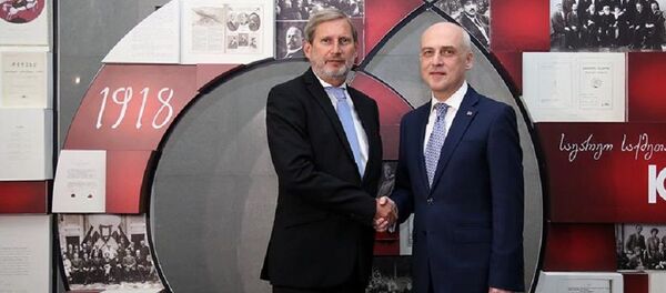 დავით ზალკალიანი და იოჰანეს ჰანი დავით ზალკალიანი და იოჰანეს ჰანი - Sputnik საქართველო