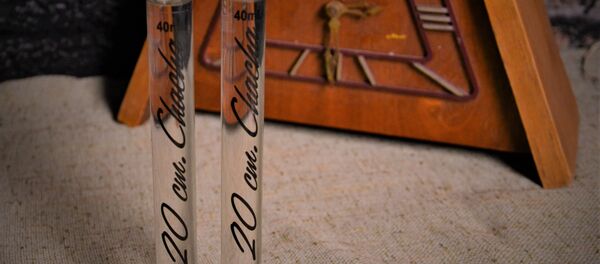 ჭაჭა ჭაჭა - Sputnik საქართველო