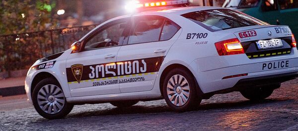 საპატრულო პოლიცია საპატრულო პოლიცია - Sputnik საქართველო