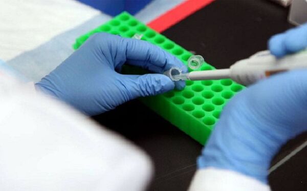 Лаборатория Лугара Лаборатория Лугара - Sputnik Грузия