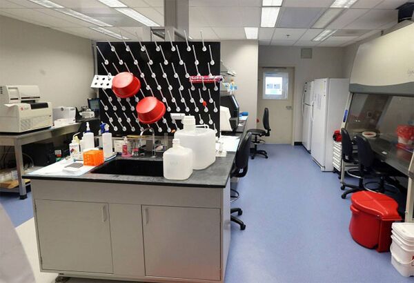 „მთელი საქართველო - მოსიარულე ლაბორატორიაა: სააკაშვილის მრჩევლის გულახდილი საუბარი „მთელი საქართველო - მოსიარულე ლაბორატორიაა: სააკაშვილის მრჩევლის გულახდილი საუბარი - Sputnik საქართველო