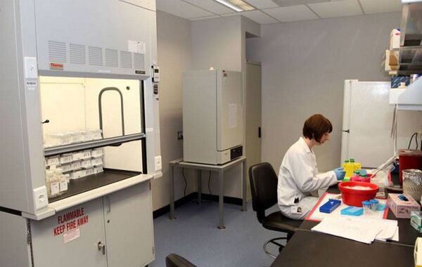 Лаборатория Лугара Лаборатория Лугара - Sputnik Грузия