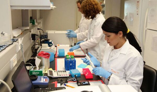 24 смерти в один день - Гиоргадзе рассказал о подопытных людях в центре Лугара - Sputnik Грузия