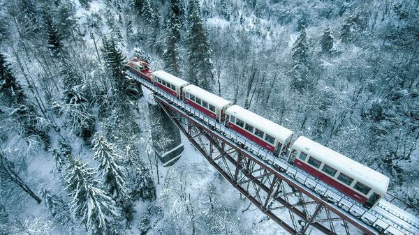 კუკუშკა მატარებელი - Sputnik Грузия