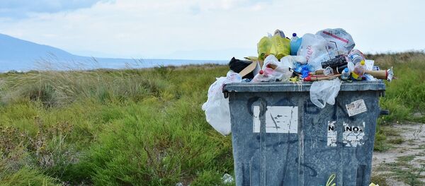 ნაგვის გადავსებული ურნა ნაგვის გადავსებული ურნა - Sputnik საქართველო