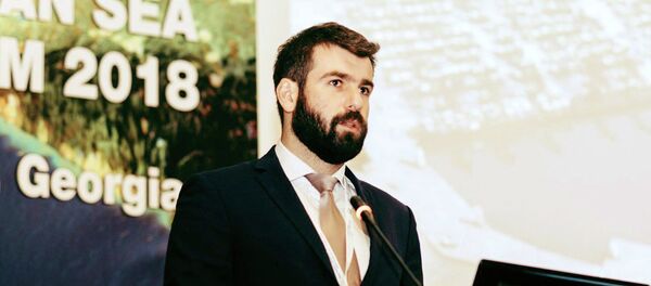 კომპანია Anaklia City-ს ფინანსური დირექტორი გიორგი ჩუგოშვილი კომპანია Anaklia City-ს ფინანსური დირექტორი გიორგი ჩუგოშვილი - Sputnik საქართველო