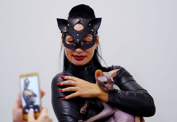 Девушка в костюме с кошкой породы петерболд на международной выставке Звезда 2018 в Москве - Sputnik Грузия
