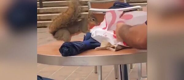 Невероятно дерзкое ограбление попало на видео - Sputnik Грузия