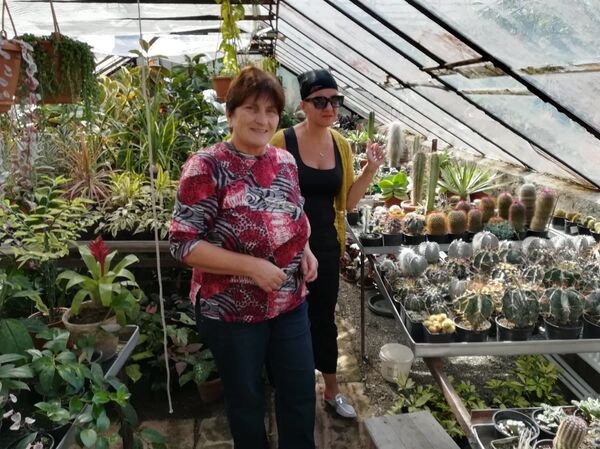 ბელგიაში კაქტუსებისთვის, ანუ არის თუ არა ყვავილები ძვირი სიამოვნება საქართველოში ბელგიაში კაქტუსებისთვის, ანუ არის თუ არა ყვავილები ძვირი სიამოვნება საქართველოში - Sputnik საქართველო