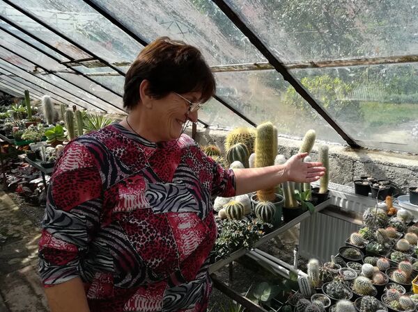 ბელგიაში კაქტუსებისთვის, ანუ არის თუ არა ყვავილები ძვირი სიამოვნება საქართველოში ბელგიაში კაქტუსებისთვის, ანუ არის თუ არა ყვავილები ძვირი სიამოვნება საქართველოში - Sputnik საქართველო