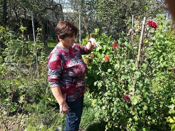 ბელგიაში კაქტუსებისთვის, ანუ არის თუ არა ყვავილები ძვირი სიამოვნება საქართველოში ბელგიაში კაქტუსებისთვის, ანუ არის თუ არა ყვავილები ძვირი სიამოვნება საქართველოში - Sputnik საქართველო