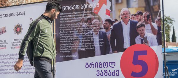 გრიგოლ ვაშაძის წინასაარჩევნო კამპანია გრიგოლ ვაშაძის წინასაარჩევნო კამპანია - Sputnik საქართველო
