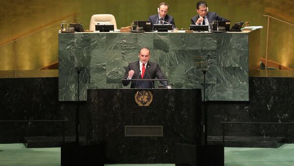 Премьер Грузии Мамука Бахтадзе выступил на 73-й сессии ГА ООН - Sputnik Грузия