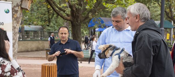 Акция в Тбилиси по случаю Всемирного дня против бешенства - Sputnik Грузия