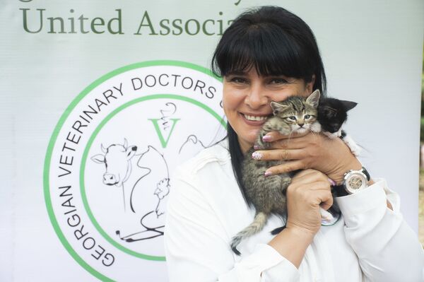 Бешенству нет! В Тбилиси бесплатно привили кошек и собак  - Sputnik Грузия