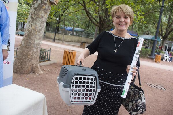 Бешенству нет! В Тбилиси бесплатно привили кошек и собак  - Sputnik Грузия