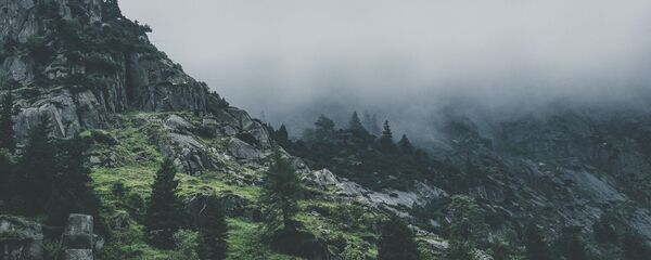 წიწვოვანი ტყით დაფარული კლდე წიწვოვანი ტყით დაფარული კლდე - Sputnik საქართველო