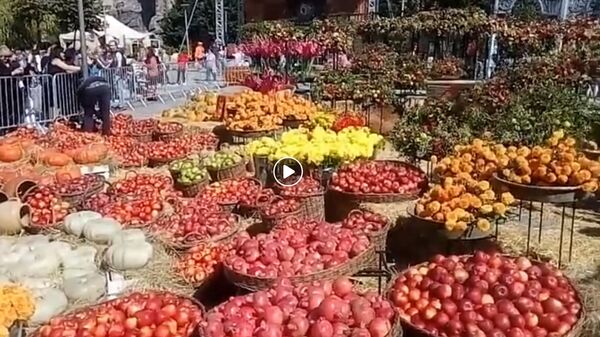 Только шашлык, только вино! И никаких парадов! Тбилисоба как символ - Sputnik Грузия