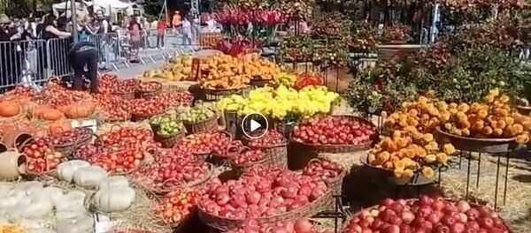 Праздник Тбилисоба - Sputnik Грузия