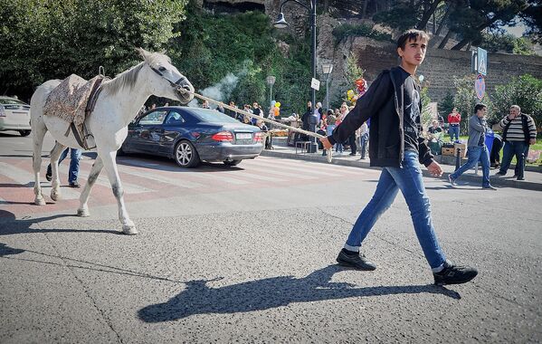 Владельцы лошадей стекаются в центр города в дни Тбилисоба, чтобы предложить гостям праздника прокатиться верхом по праздничным улицам - Sputnik Грузия
