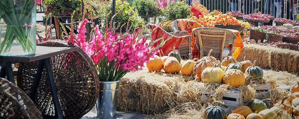 „თბილისობა „თბილისობა - Sputnik საქართველო