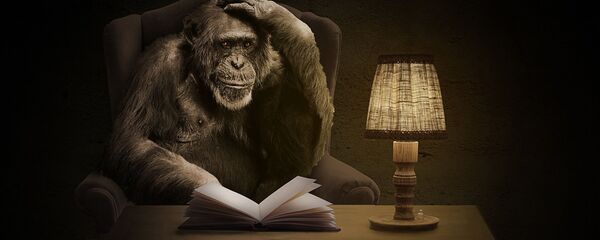 მაიმუნი წიგნით მაიმუნი წიგნით - Sputnik საქართველო