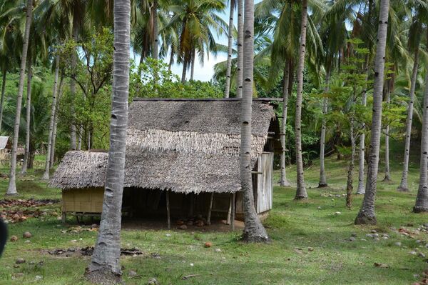 როგორ ვიმოგზაუროთ ფილიპინებზე იაფად – ოქროსფერი ქვიშა, ლურჯი ზღვა და ველური ბუნება როგორ ვიმოგზაუროთ ფილიპინებზე იაფად – ოქროსფერი ქვიშა, ლურჯი ზღვა და ველური ბუნება - Sputnik საქართველო