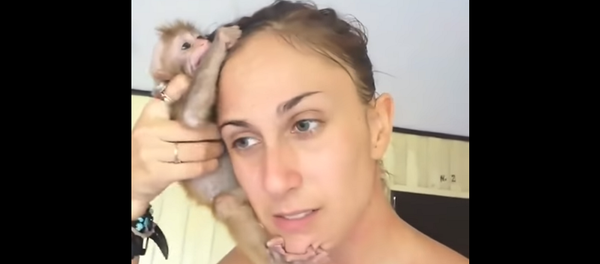 До слез: маленькая обезьянка не может оторваться от спасшей ее женщины – видео - Sputnik Грузия