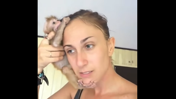 До слез: маленькая обезьянка не может оторваться от спасшей ее женщины – видео - Sputnik Грузия