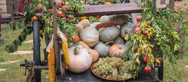 Винный фестиваль в Гурджаани - Sputnik Грузия