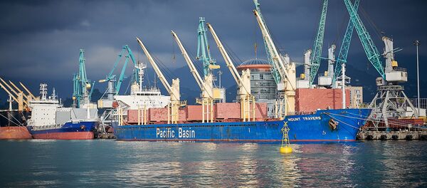 Грузовое судно на разгрузке в Батумском порту - Sputnik Грузия