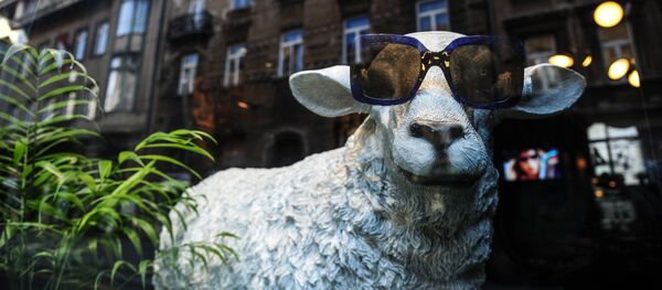 მსოფლიო ქალაქები ზაგრები მსოფლიო ქალაქები ზაგრები - Sputnik საქართველო