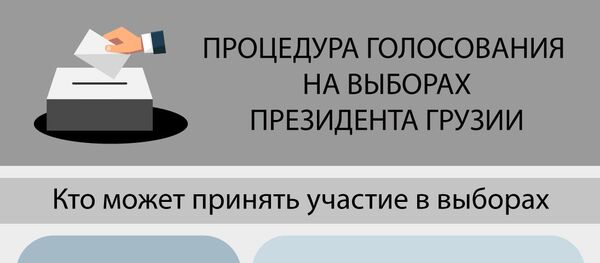 Процедура голосования на выборах президента Грузии - Sputnik Грузия